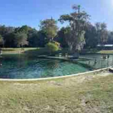The Botanical Retreat, King Comfort & Poolside Peace Gainesville Eksteriør bilde